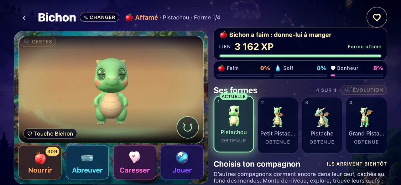 L’espace de soins du compagnon et ses quatre formes, sur iOS